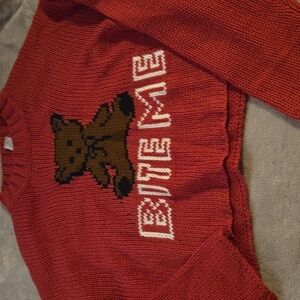 Rue 21 Teddy Bear Cropped Sweater